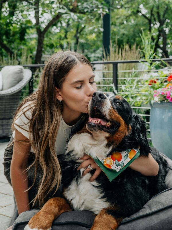 Gyvunai pexels impact dog crates 1789722873 28948918 (1)