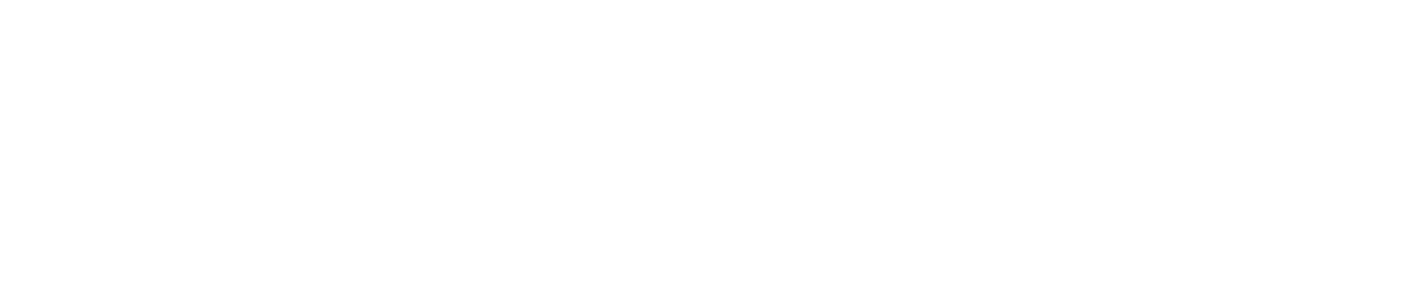 Runu Mokymai Pav2