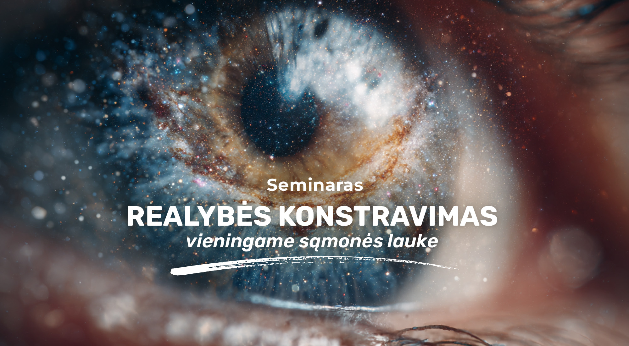 Vieningo lauko v1 copy